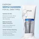ANUA 8 HYALURONIC ACID + PANTHENOL HYDRATING GENTLE FOAMING CLEANSER 