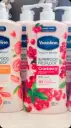 VASELINE -Healthy Bright (Cranberry) SUPERFOOD FRESHLOCK 2X UV Lotion 500ml